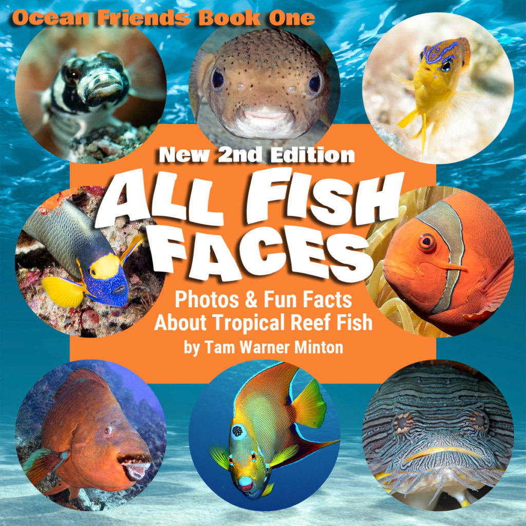 all fish faces, tam warner minton, fish, childrens book