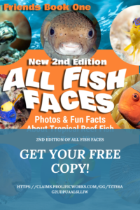 FREE EBOOK