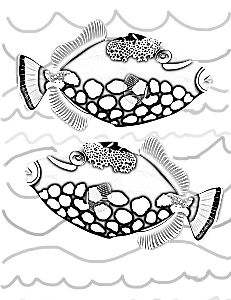 All Fish Faces Coloring Book – Tam Warner Minton