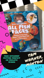 free, giveaway, all fish faces