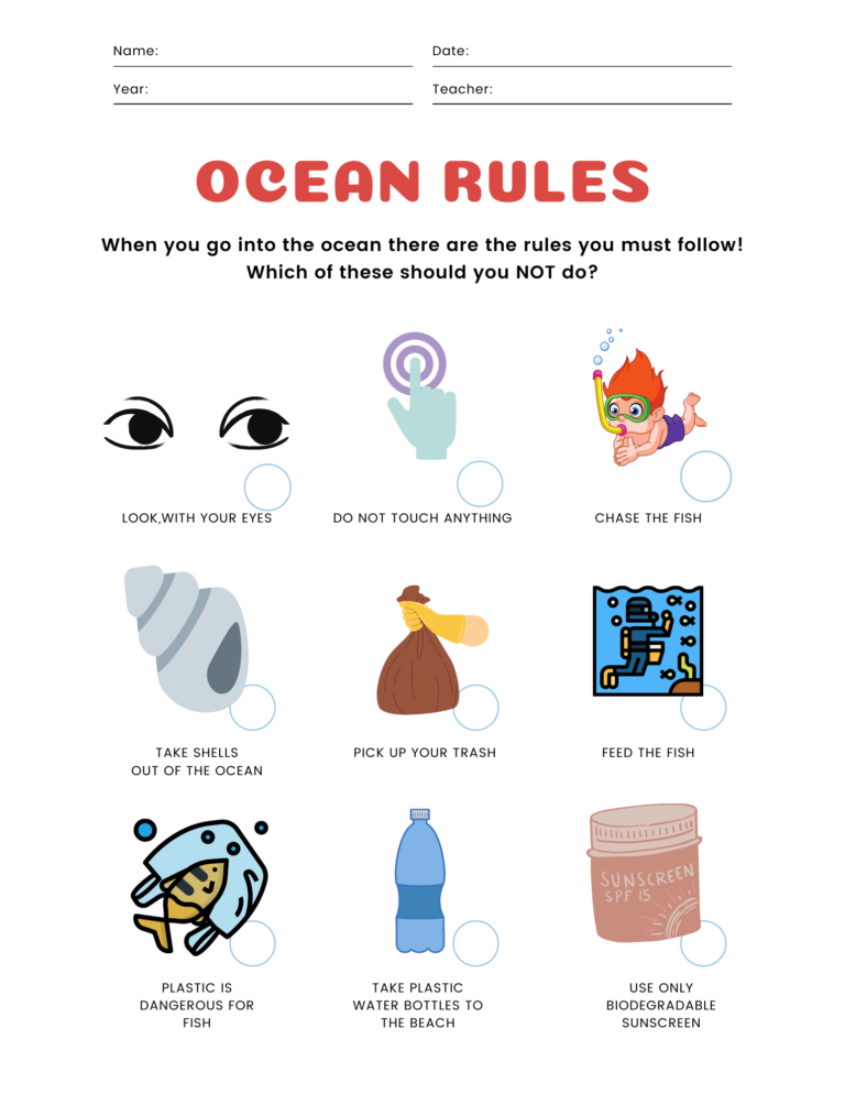 Ocean Friends Ocean Rules Worksheet Tam Warner Minton